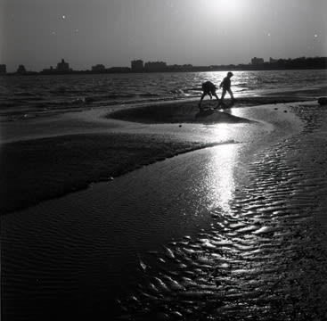 John Hendry, L-464 Montrose Beach, 1961