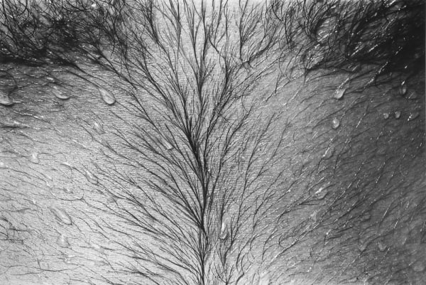 Jed Fielding, Chicago #856, 1980