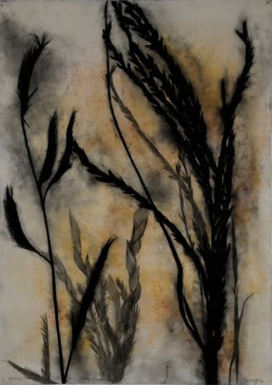 Suzi Davidoff, Walking Through Tall Grass, Madera Canyon 6