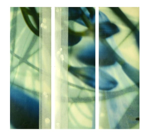 Jane Guthridge The Space Between Triptych 21 Archival Inkjet and Encaustic on Mulberry Paper 36 x 36" unframed 52 x 40" framed