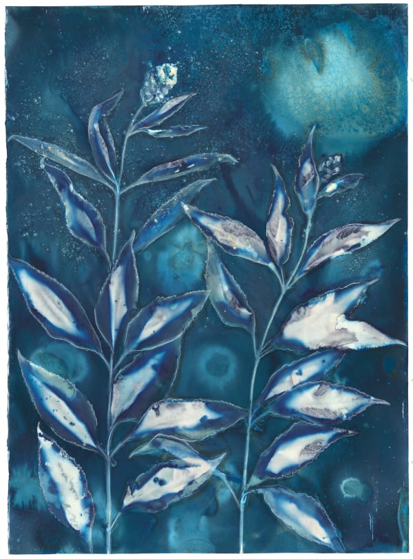 Beth Herman Adler, Joe Pye Weed, 2023