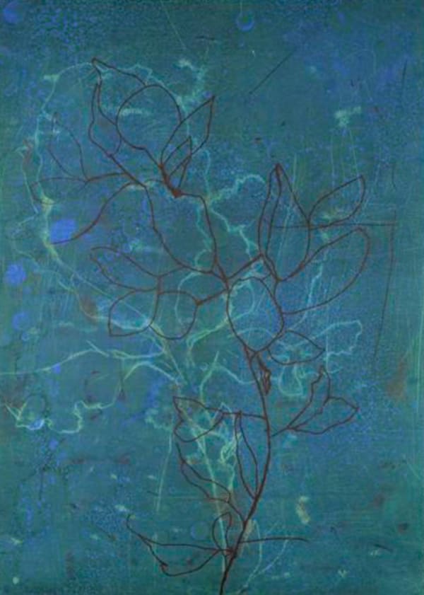 Suzi Davidoff, New Flowers for VSW No.1