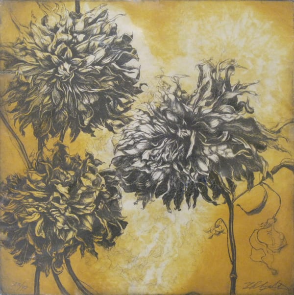 Helen Gotlib, Fall Dahlias
