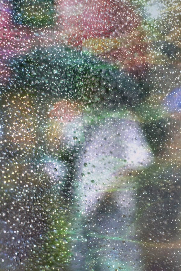 Bill Sosin, Nova, 2022