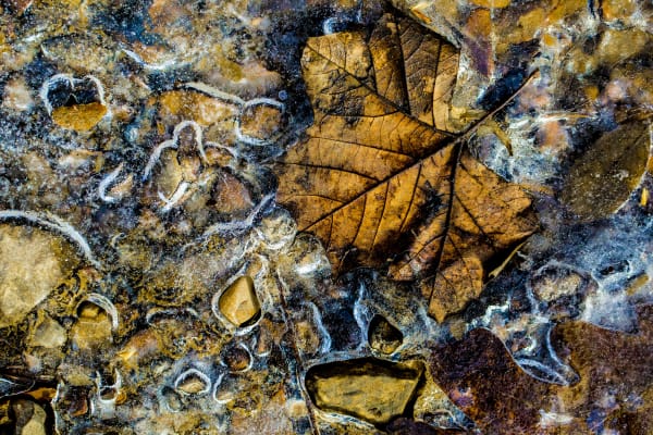 Larry Emerson, Ice Rock 2014-61