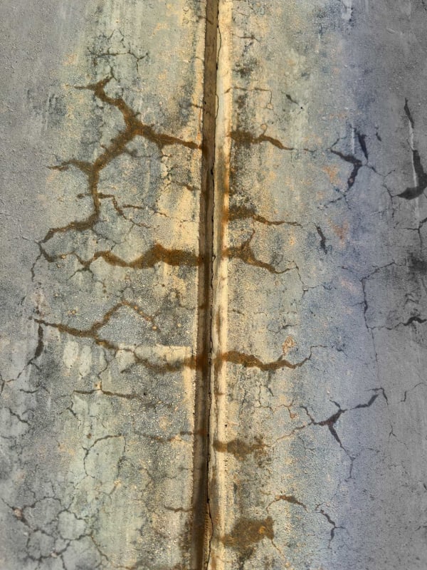 Charles Shotwell, Dendrite, 2023