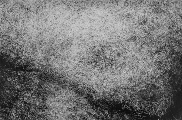 Jed Fielding, Chicago #1079, 1982