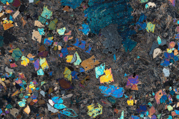 Neil Buckland, RC 113A