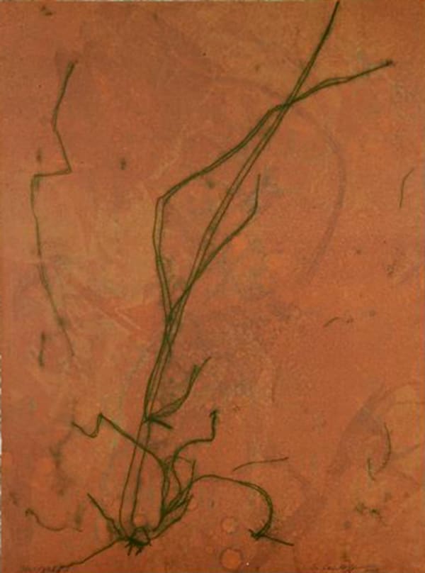 Suzi Davidoff, Mist Walk IV