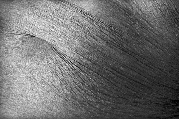 Jed Fielding, Chicago #1256, 1982