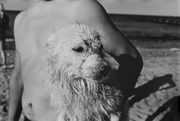 Jed Fielding, Chicago #50, 1978