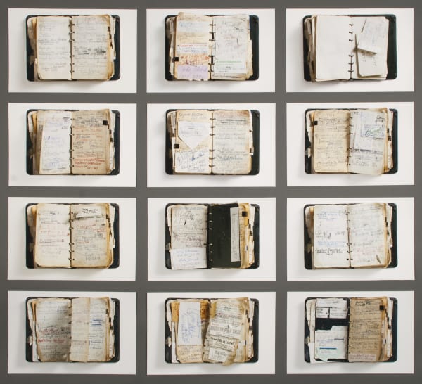 Laurie Rubin, Sydney Baum's Diary (set of 12)