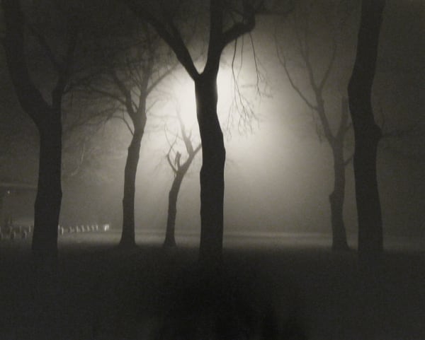Alex Fradkin, Six Trees at Night:Chicago, IL