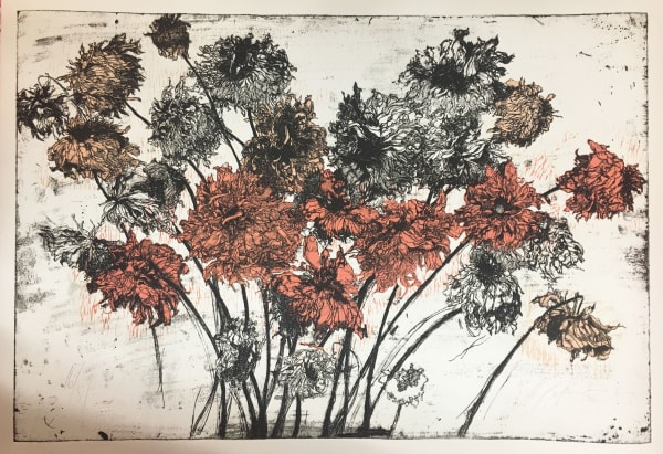 Helen Gotlib, Fall Dahlias II 16/51