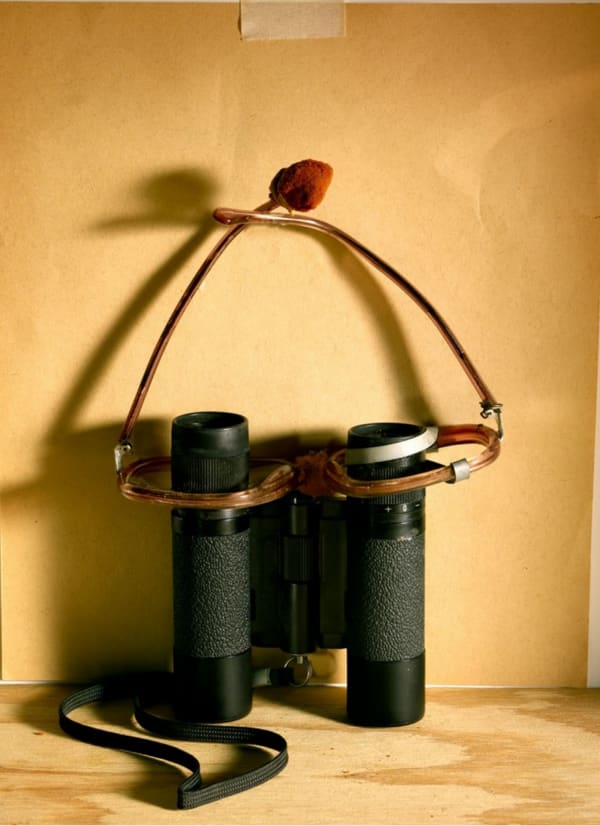 Laurie Rubin, Sidney Baum Glasses