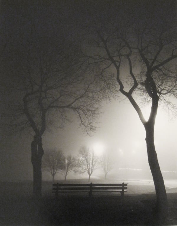 Alex Fradkin, Park Bench at Night