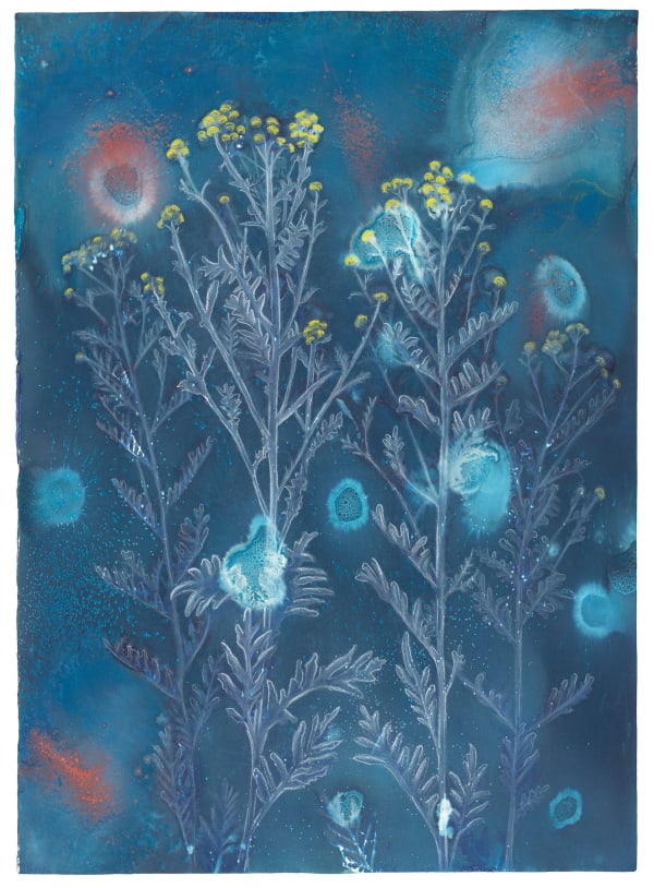Beth Herman Adler, Tansy, 2023
