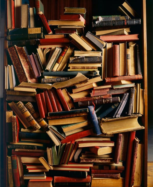 Laurie Rubin, Book Shelves