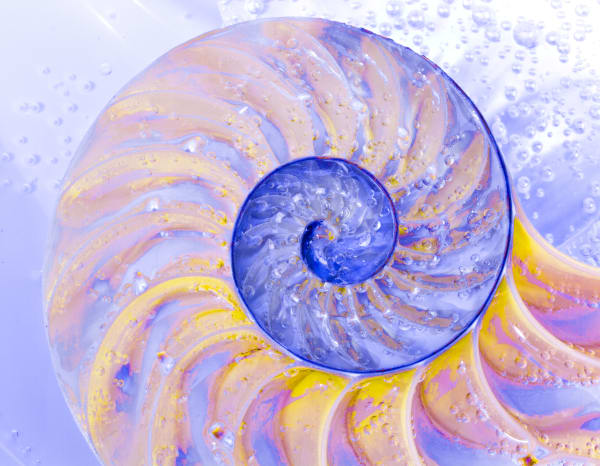 Larry Emerson, IMG_6346