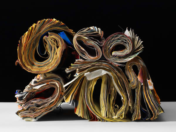 Charles Shotwell, Six Mag Rolls, 2024