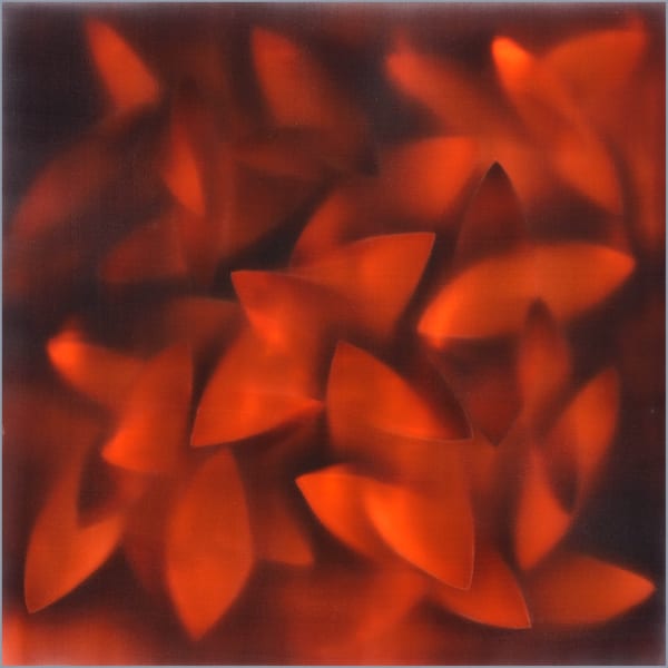 Carrie Seid, Complication