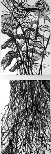 Cynthia Weiss, Deeply Rooted (Diptych), 2024