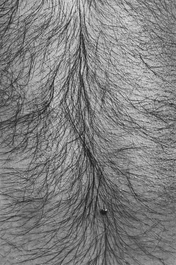 Jed Fielding, Chicago #1121, 1982