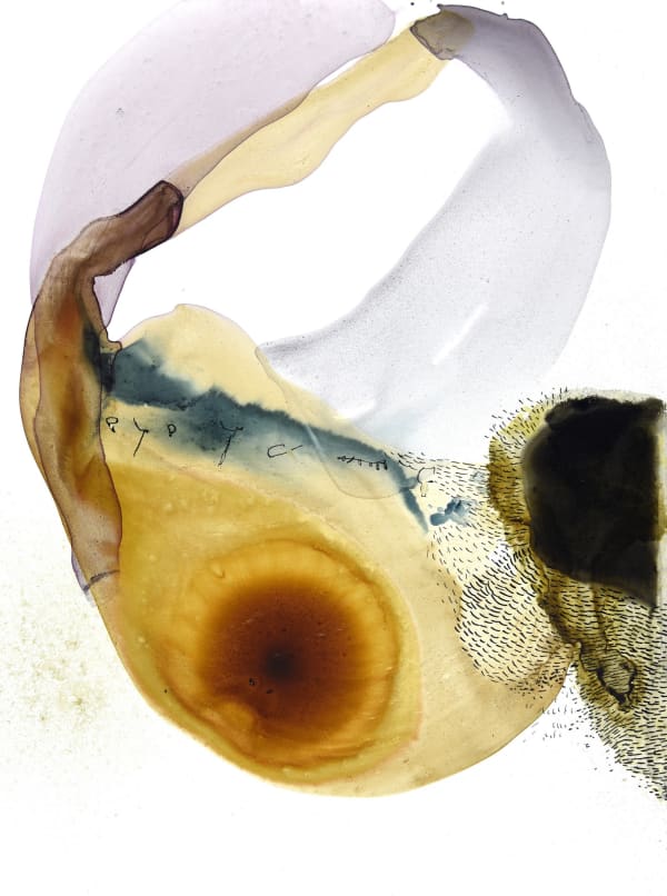 Ana Zanic, Origin Aqueous (Wondrous Worlds) XIV, 2024