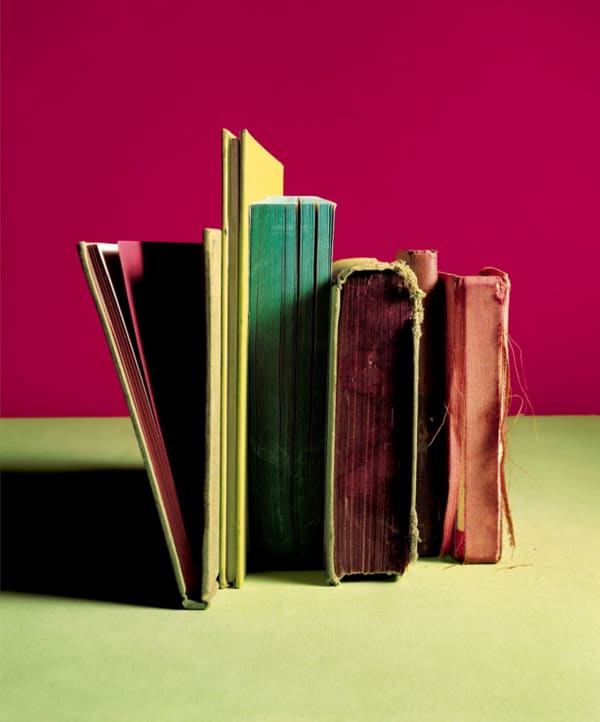 Laurie Rubin, French Guide