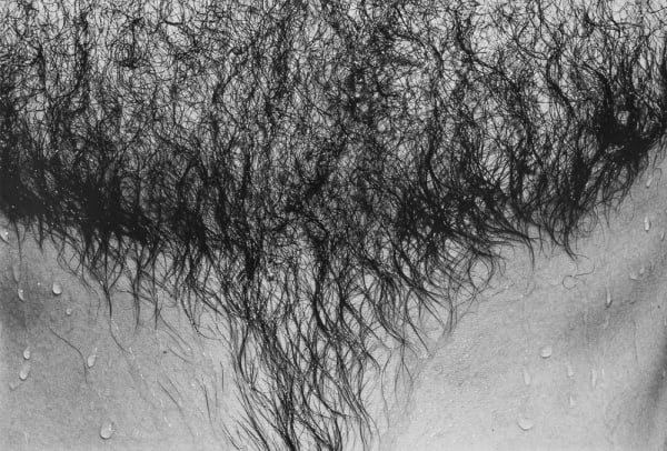 Jed Fielding, Chicago #891, 1980