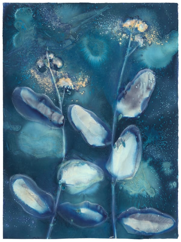 Beth Herman Adler, Milkweed (small), 2023