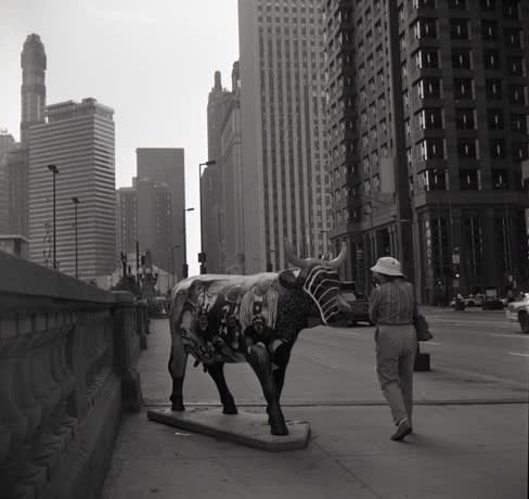 John Hendry, 24-498 Untitled, 1999