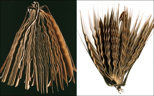 Laurie Rubin, Scrapbooks on black & white (diptych)