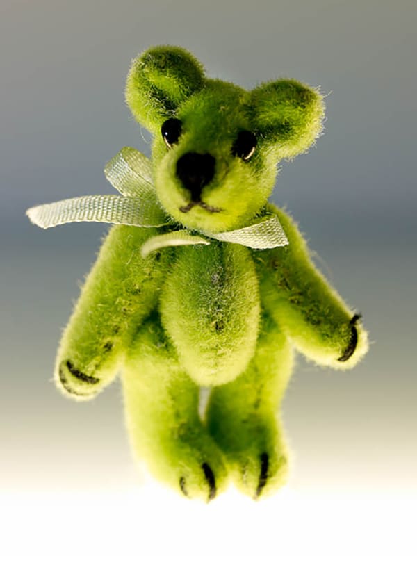 John Faier, Solitary Objects - Green Teddy