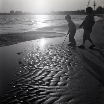 John Hendry, L-459 Montrose Beach, 1961