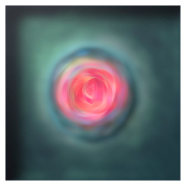 Carrie Seid, Resolute , 2023