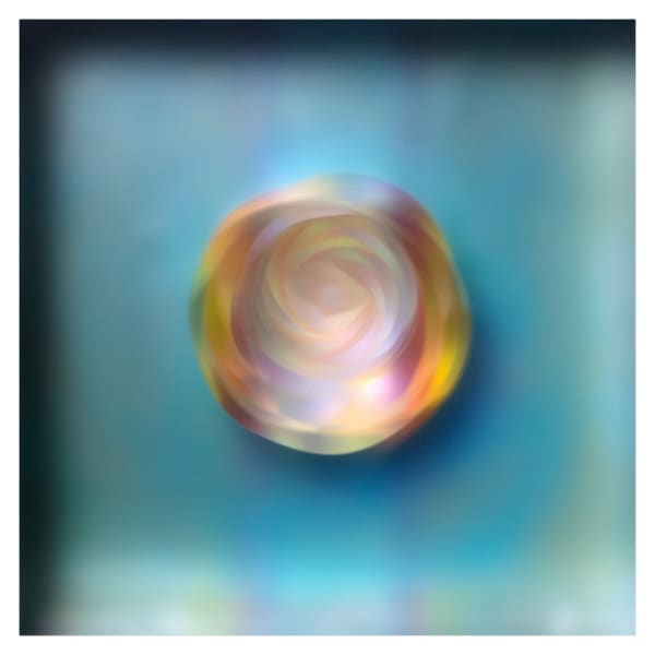 Carrie Seid, Offering , 2023