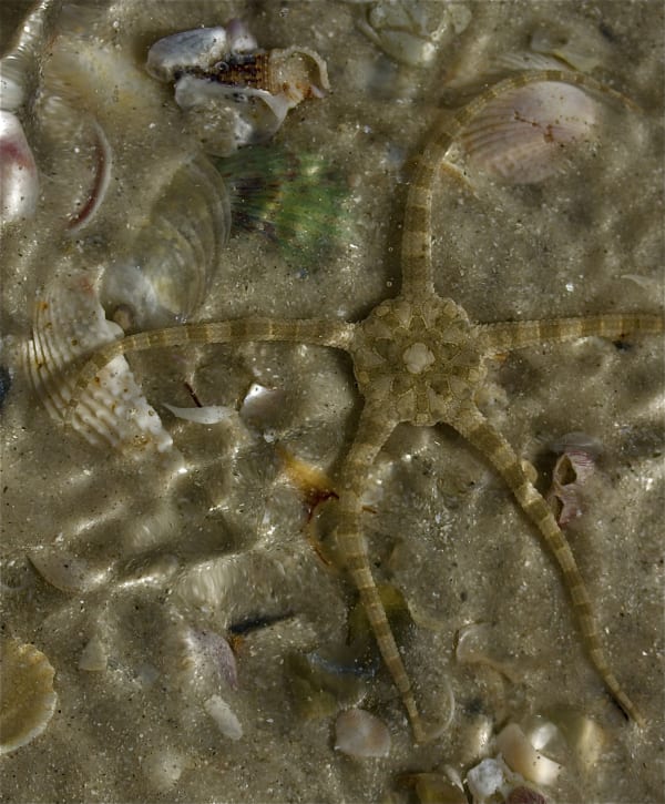 Larry Emerson, IMG_5693