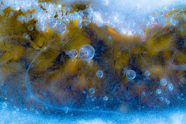 Larry Emerson, IMG_0133-26