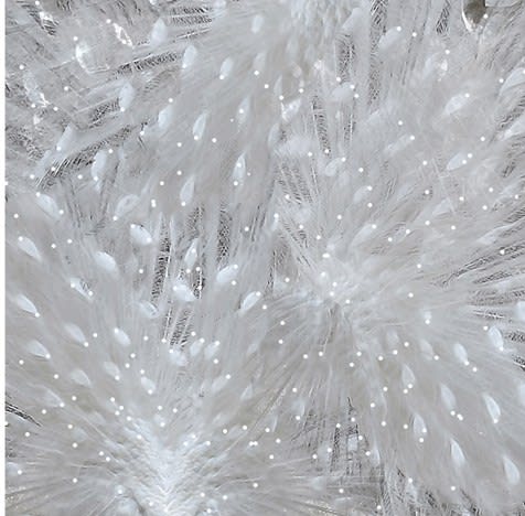 Connie Noyes, Particles of Her, 2012