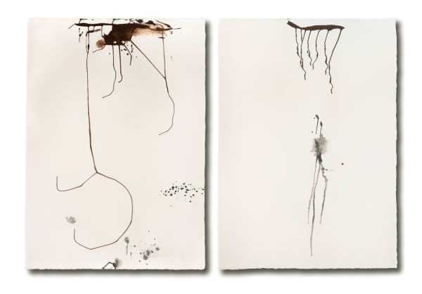Ginny Sykes, Tracers #2 (Diptych)