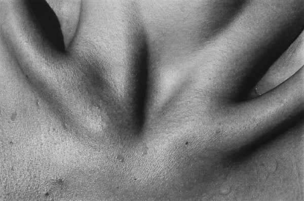 Jed Fielding, Chicago #909, 1982