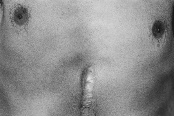 Jed Fielding, Chicago #1193, 1982