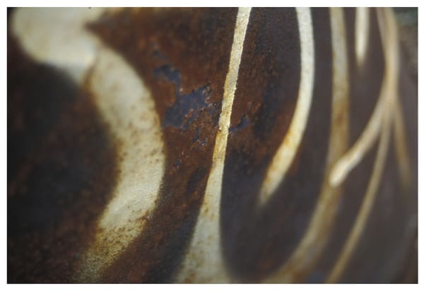 Brian Lane, Revolution