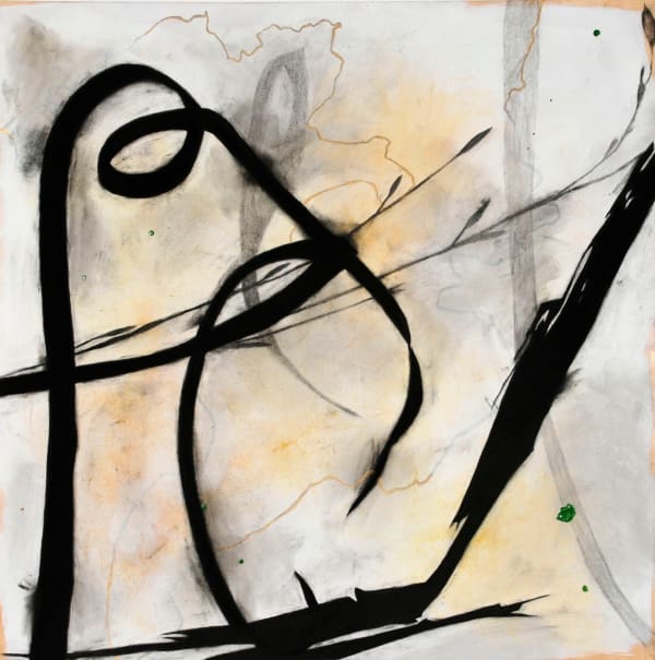 Suzi Davidoff, Regeneration-grasses with Fire Map 2