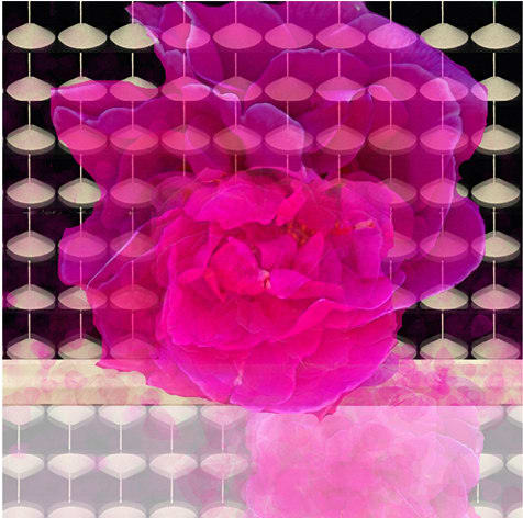 Connie Noyes, Particles of Her 2, 2012