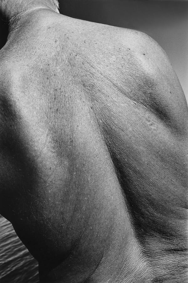 Jed Fielding, Chicago #953, 1980