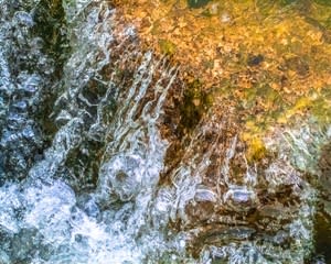 Larry Emerson, Rock Water Oyster_8048