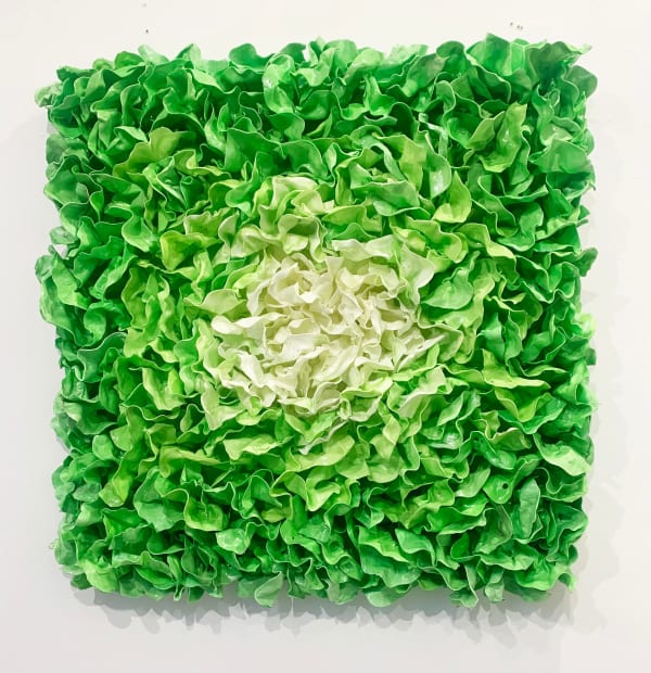 Stefan Gross, Lettuce