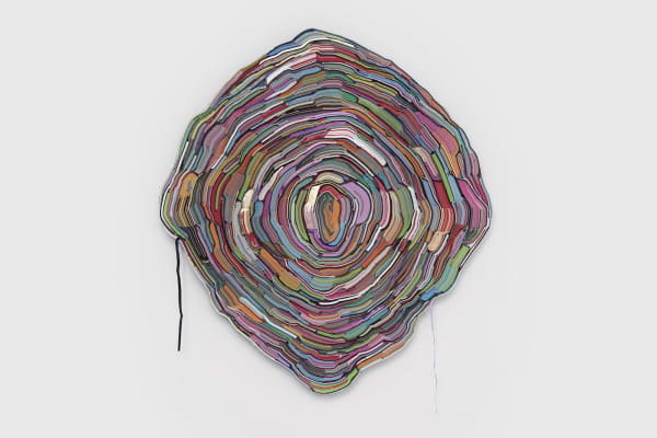 Francois du Plessis, "Goya", 2018